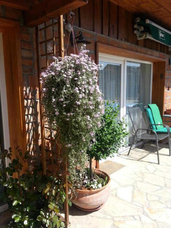 Gasthaus Joo-Wellness Pension Rabapaty Экстерьер фото